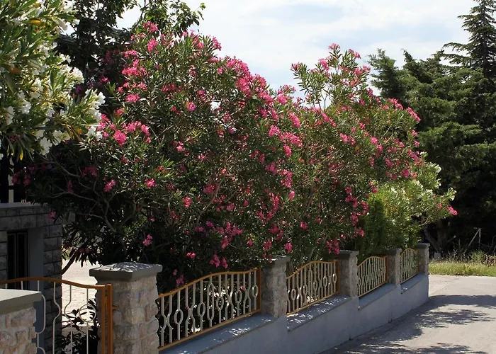 Guest house Double Room Starigrad 6591B