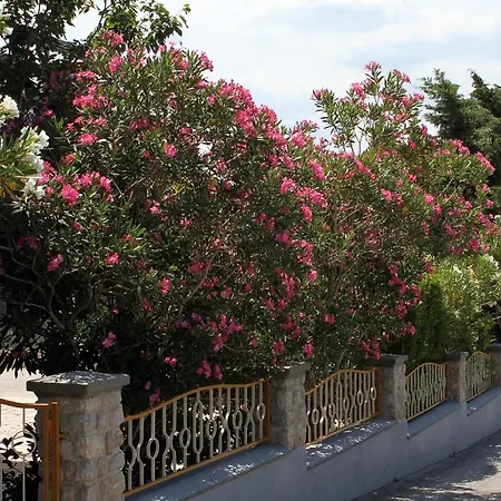 Guest house Double Room Starigrad 6591B